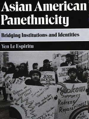 cover image of Asian American Panethnicity